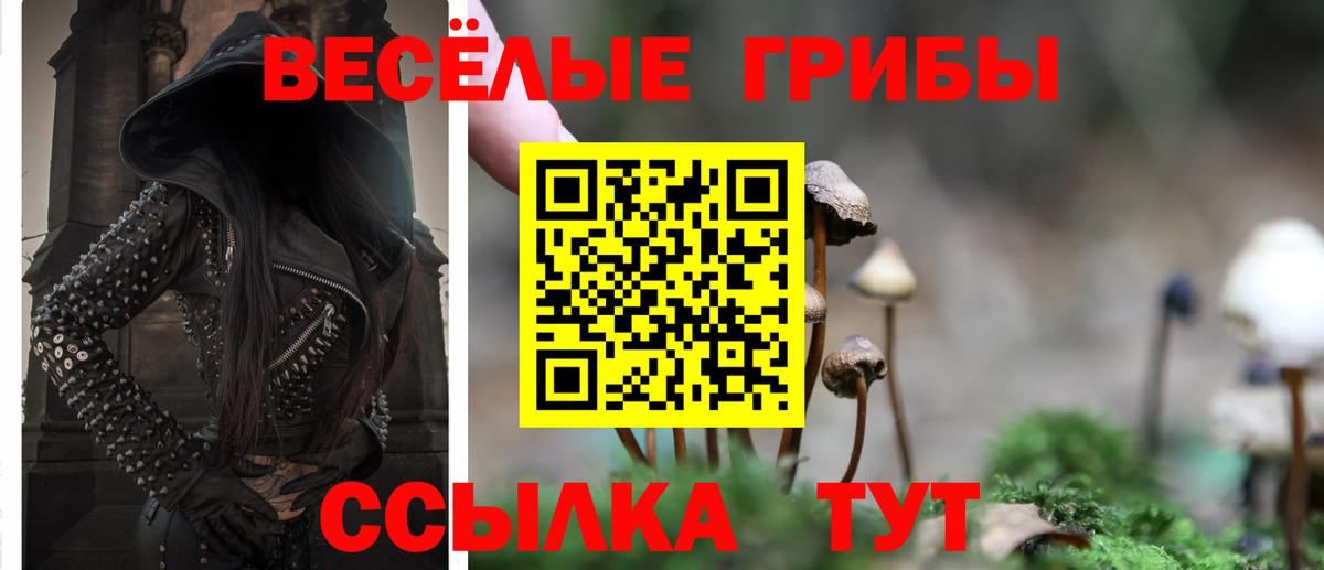 Галлюциногенные грибы Cubensis Реутов
