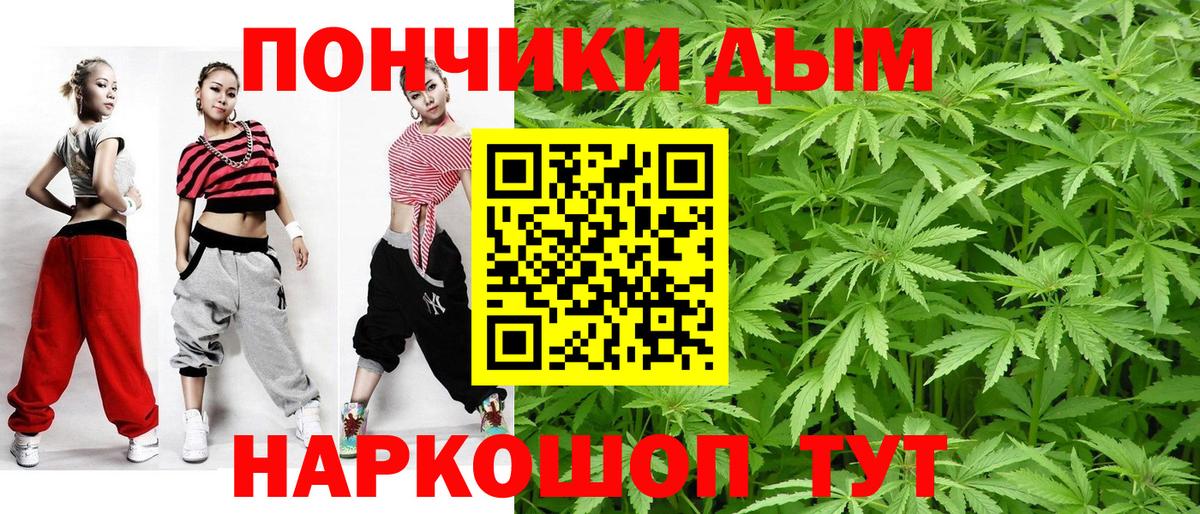 Реутов  Конопля семена  Канабис сатива  Вход с VPN 